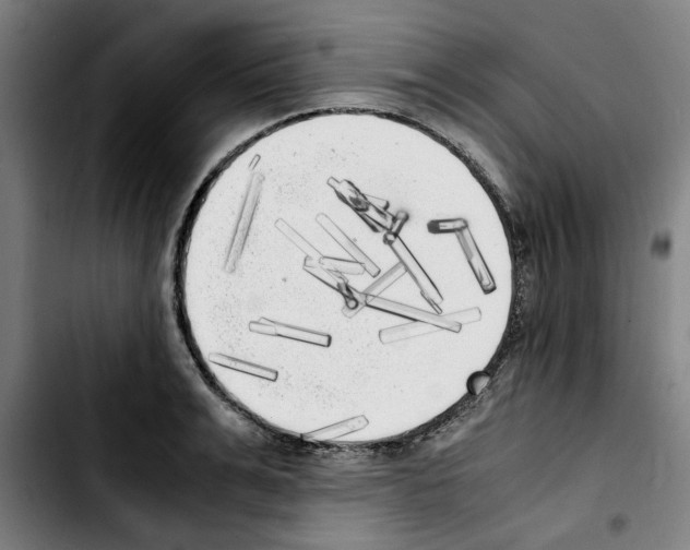 X0000103430991200810241054