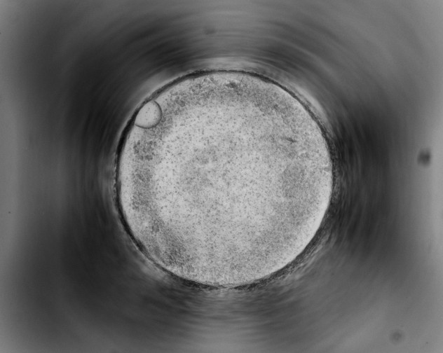 X0000103430992200810241054