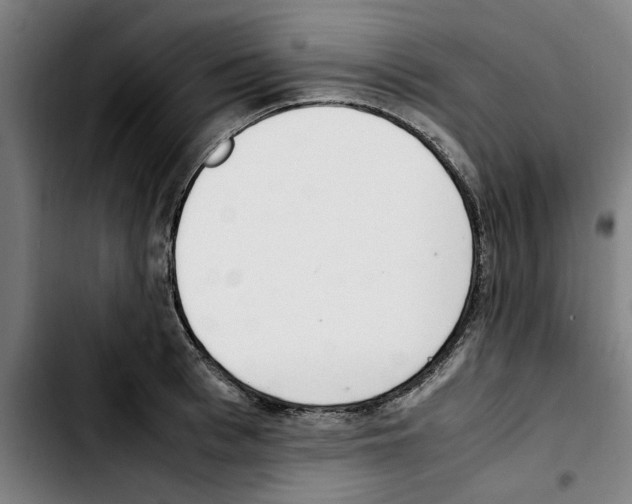 X0000103430993200810241054