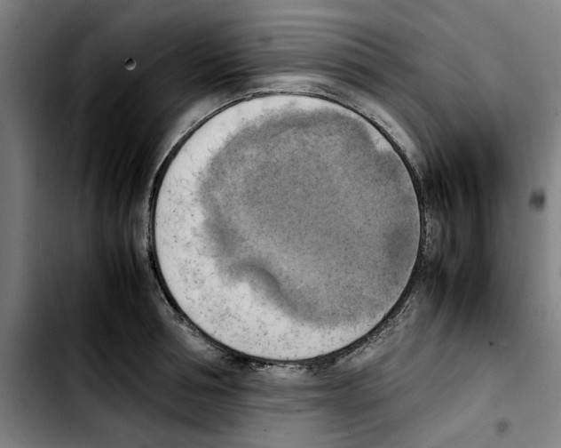 X0000103430994200810241054