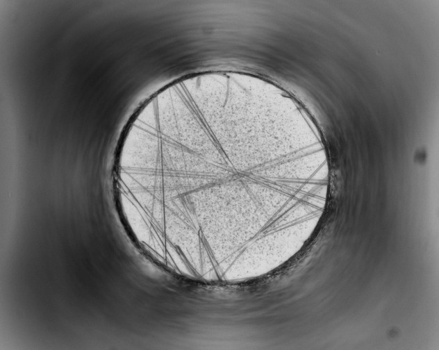 X0000103430995200810241054