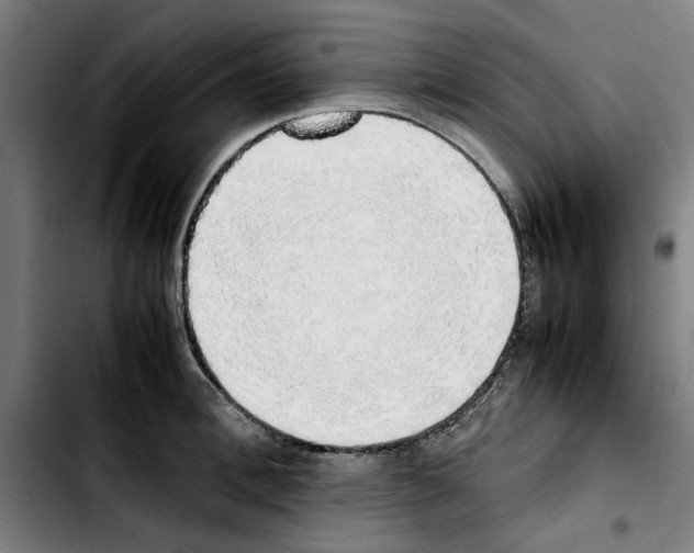 X0000103430996200810241054