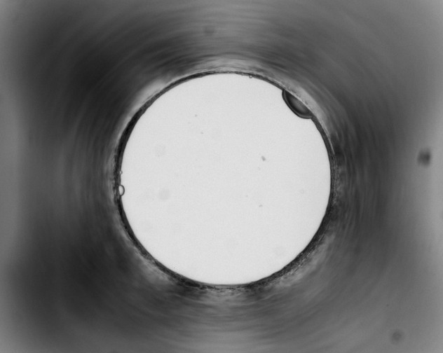X0000103430997200810241054