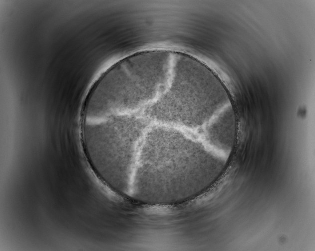 X0000103430998200810241054