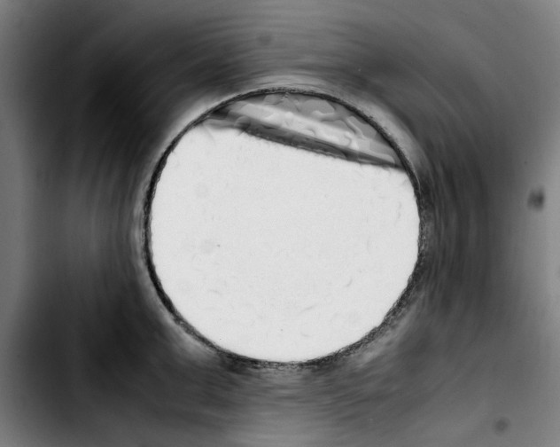 X0000103430999200810241054