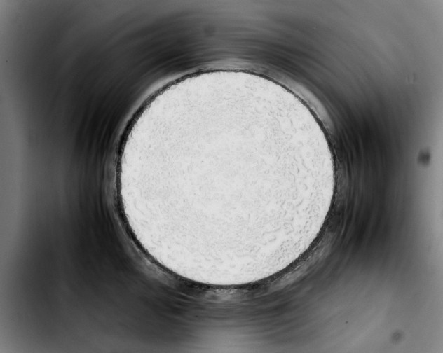 X0000103431000200810241054