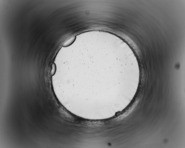 X0000103431001200810241054
