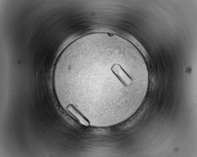 X0000103431002200810241054