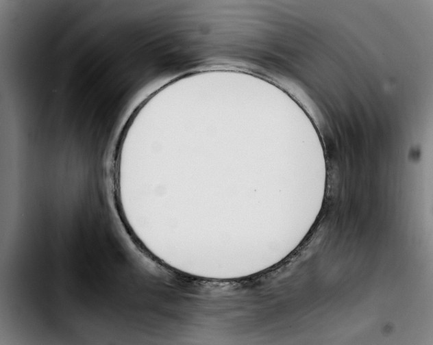 X0000103431003200810241054
