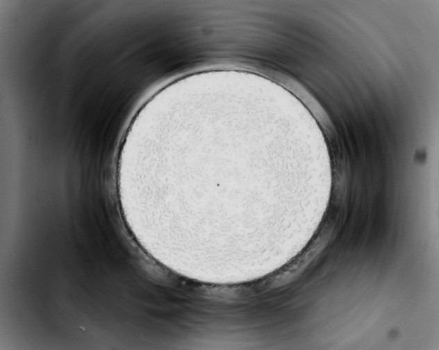 X0000103431004200810241054