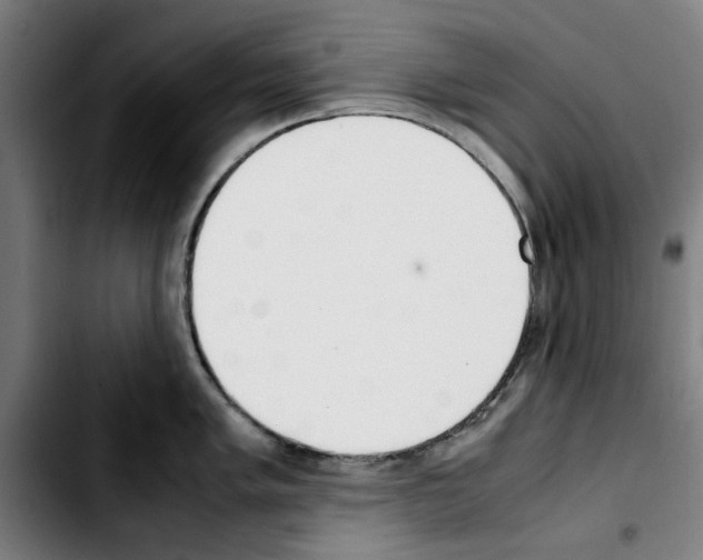 X0000103431005200810241054