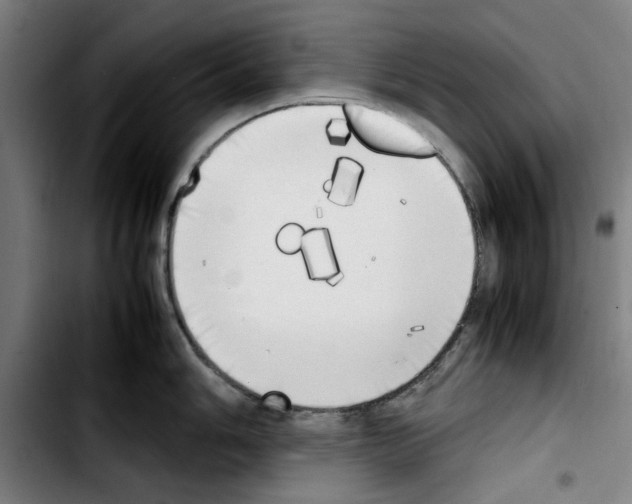 X0000103431006200810241054