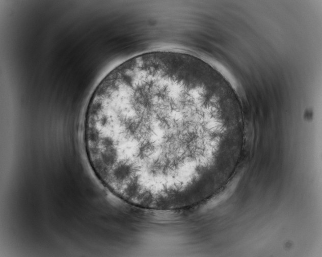 X0000103431007200810241054