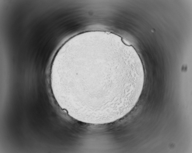 X0000103431008200810241054