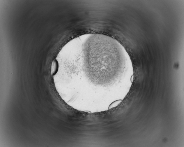X0000103431009200810241053
