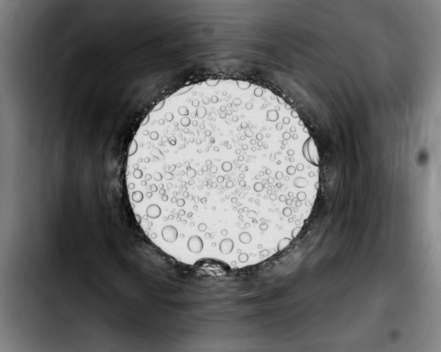 X0000103431010200810241053