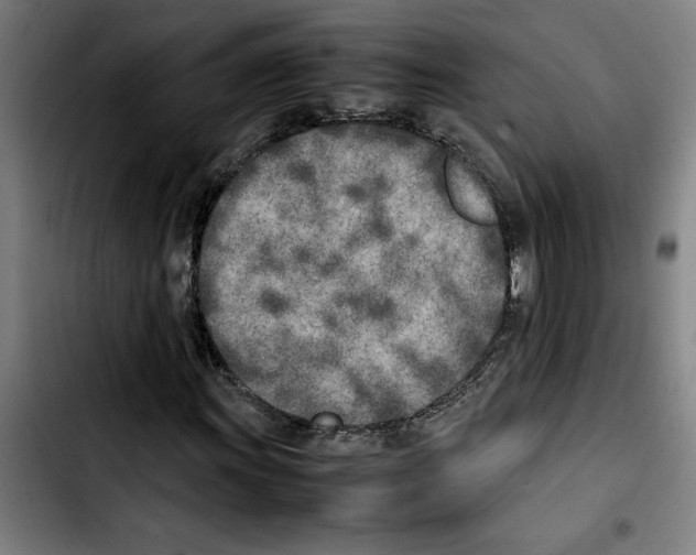 X0000103431011200810241053
