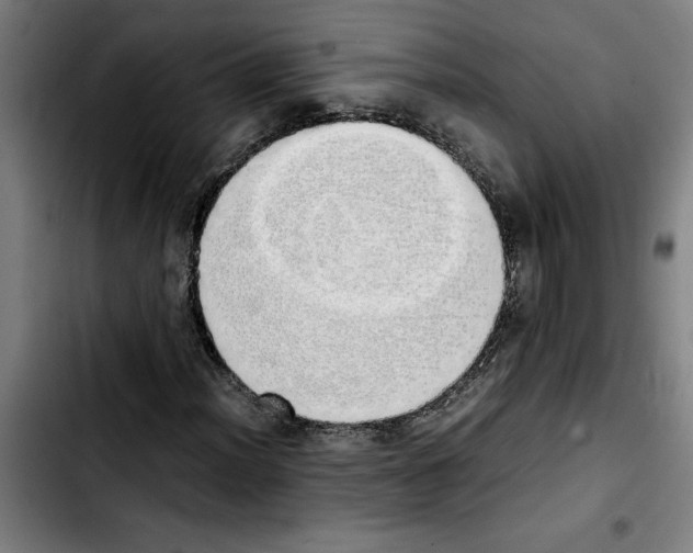 X0000103431012200810241053