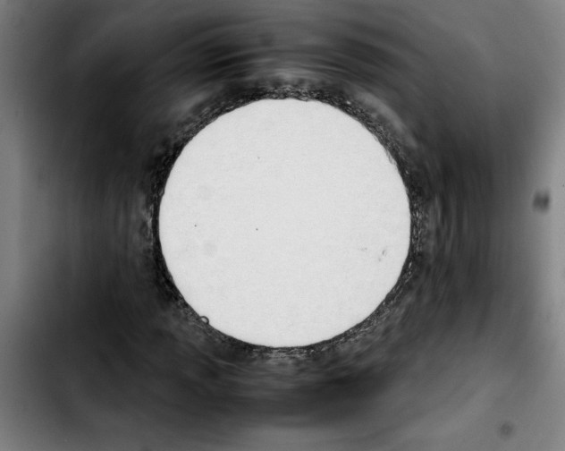 X0000103431013200810241053