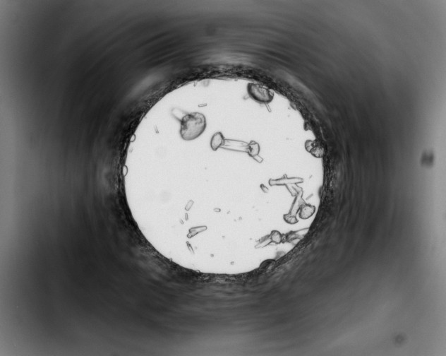 X0000103431014200810241053