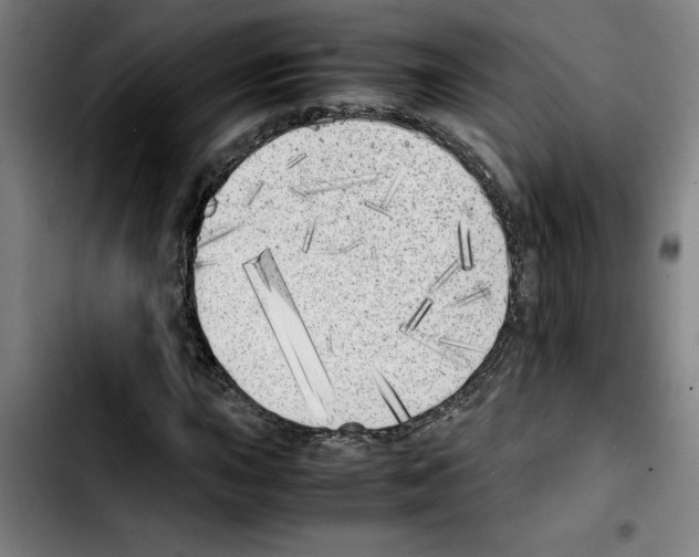 X0000103431015200810241053