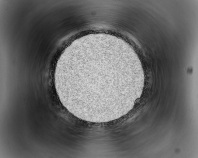 X0000103431016200810241053