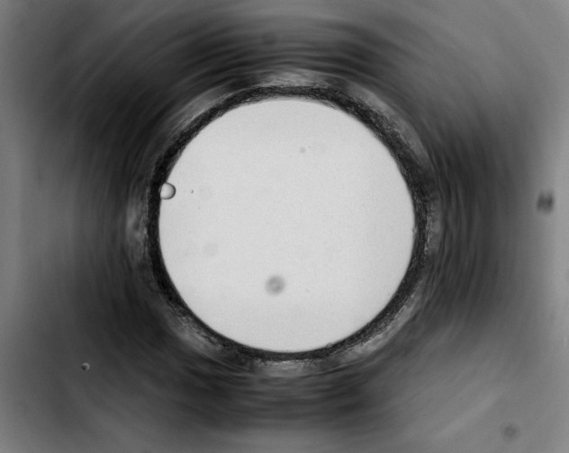 X0000103431017200810241053