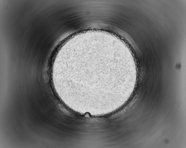X0000103431018200810241053