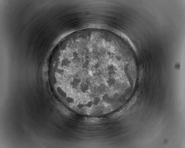 X0000103431019200810241053