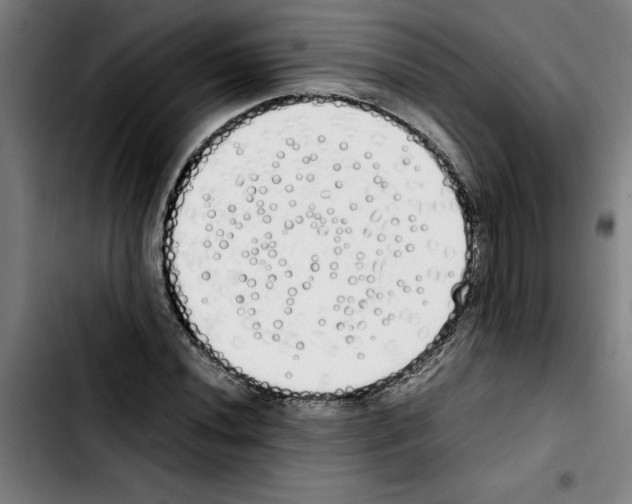 X0000103431020200810241053