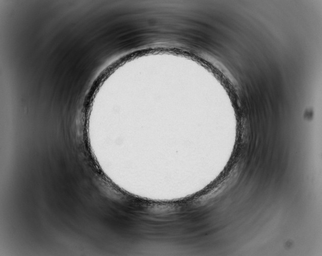 X0000103431021200810241053