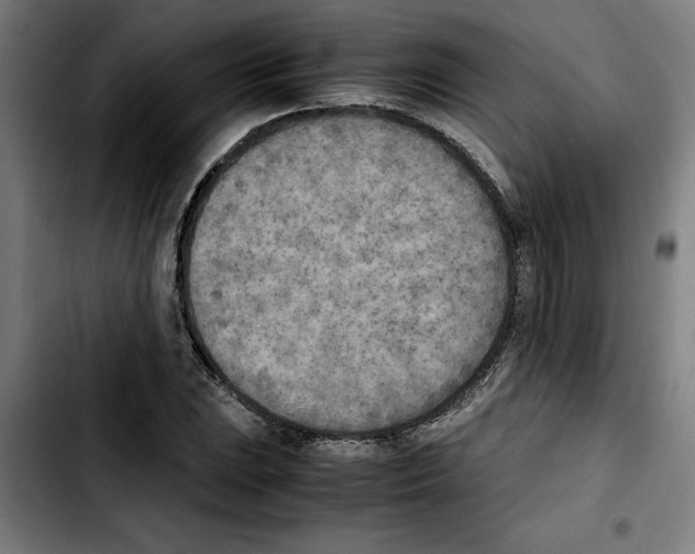 X0000103431023200810241053