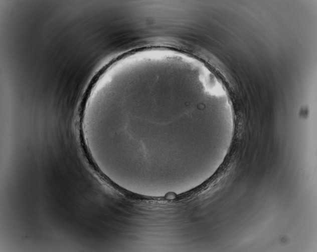 X0000103431024200810241053