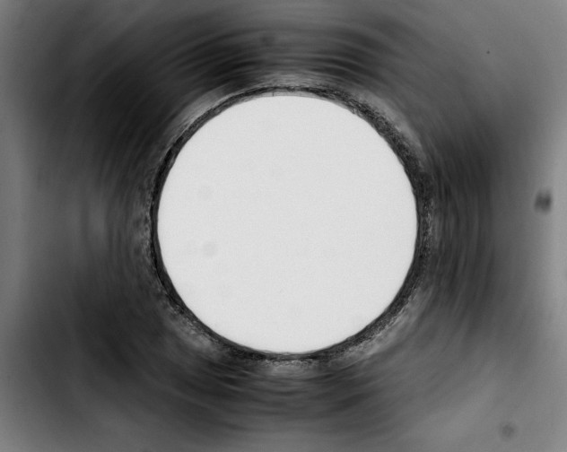 X0000103431025200810241053