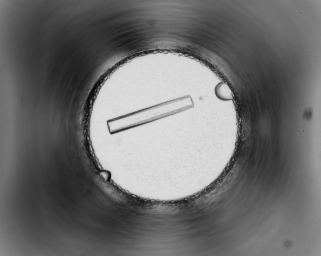 X0000103431026200810241053