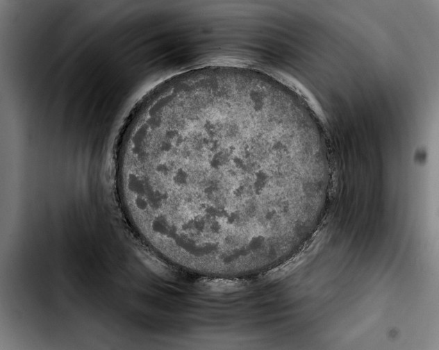 X0000103431027200810241053