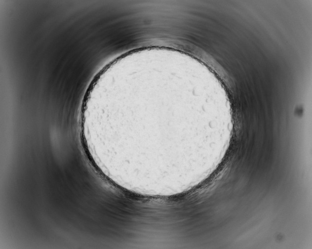 X0000103431028200810241053