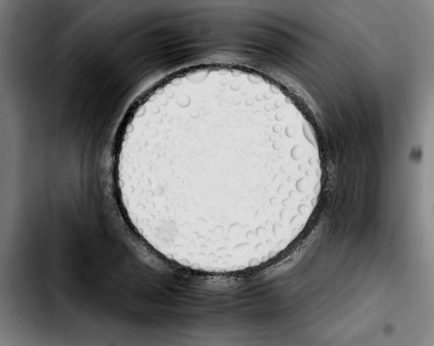 X0000103431029200810241053