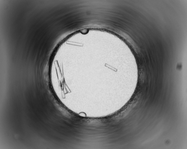 X0000103431030200810241053