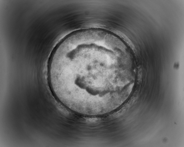 X0000103431031200810241053