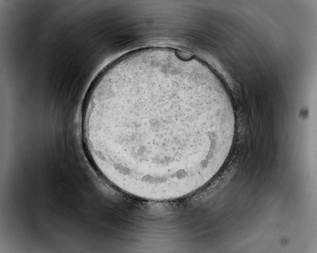 X0000103431032200810241053