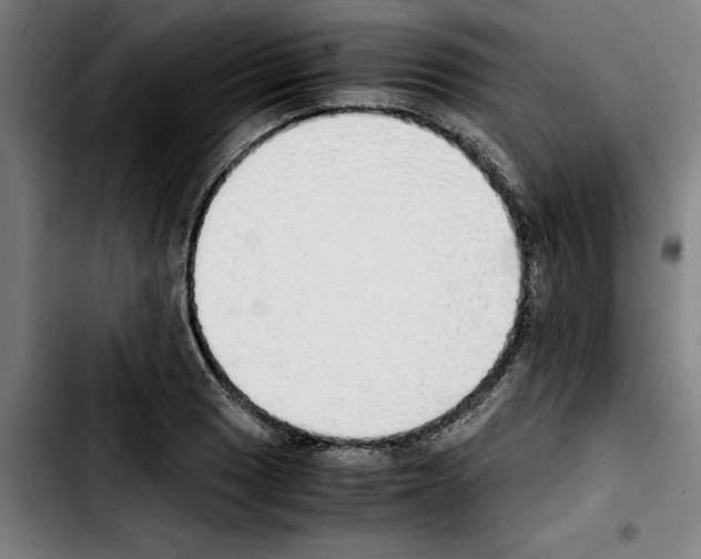 X0000103431033200810241053