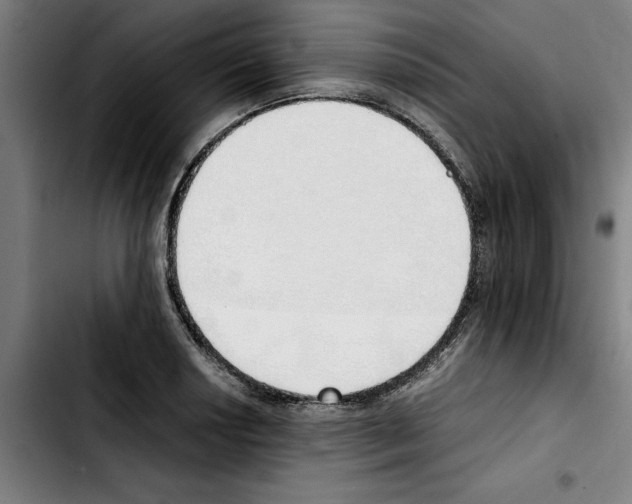 X0000103431034200810241053