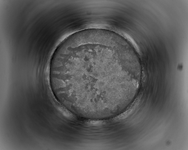 X0000103431035200810241053