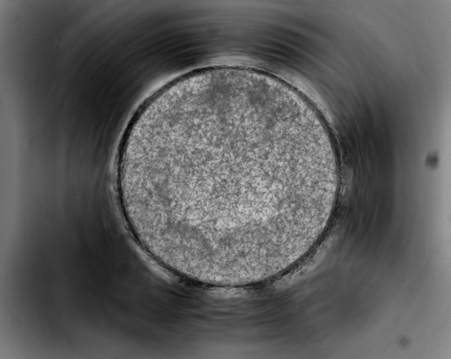 X0000103431037200810241054