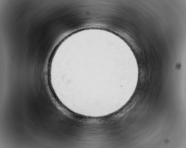 X0000103431038200810241054
