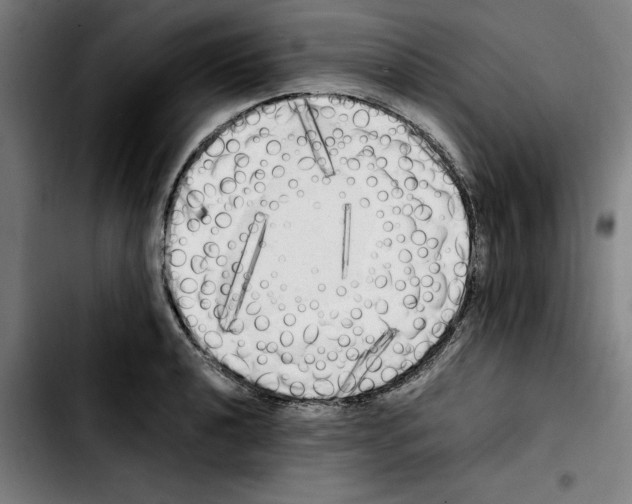 X0000103431040200810241054