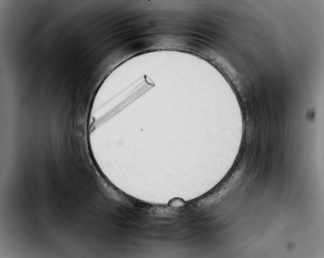 X0000103431041200810241054