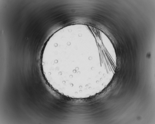 X0000103431042200810241054
