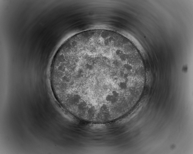 X0000103431043200810241054